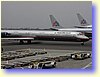 15220021.JPG