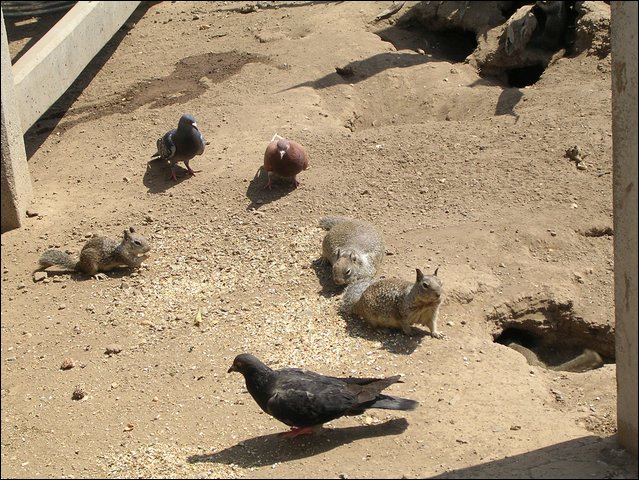 DSCN0331.JPG