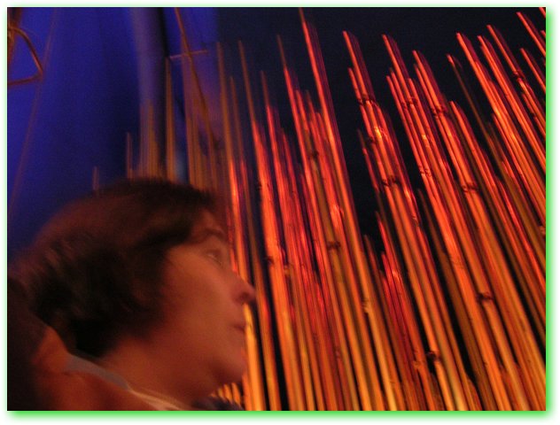Nikon 104.jpg