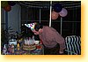 DCP_0410.JPG