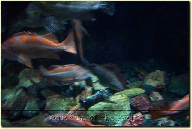 DCP_0257.JPG