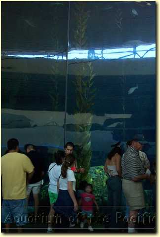 DCP_0260.JPG