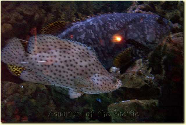 DCP_0291.JPG