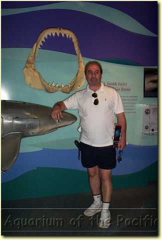 DCP_0308.JPG