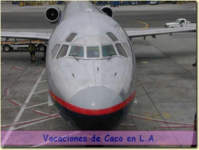 15220023.JPG