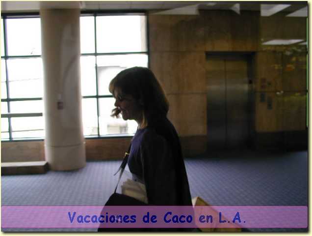 15220025.JPG