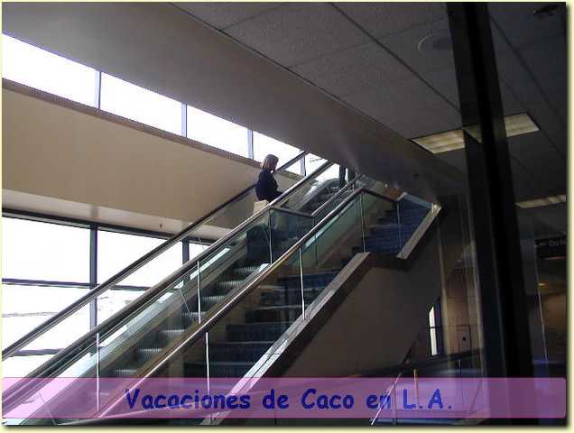 15220029.JPG