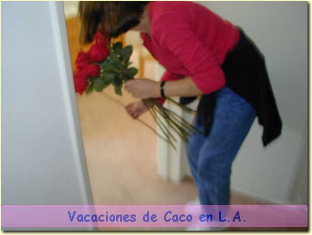 15220030.JPG