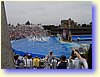 15300067.JPG
