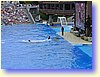 15300080.JPG