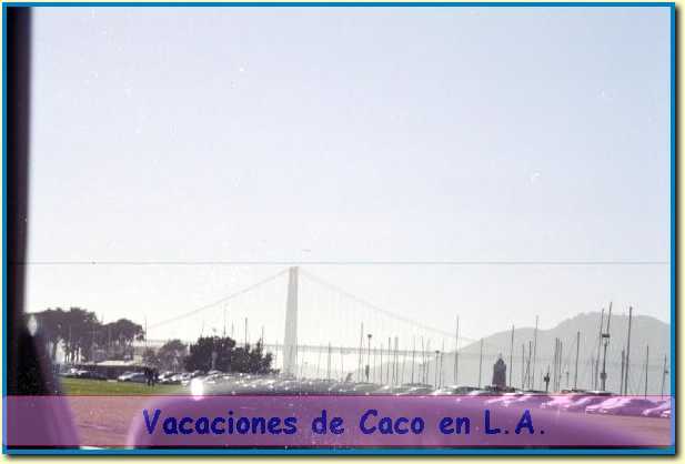 a016_16.JPG