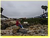 36080093.JPG