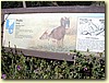 25260050.JPG
