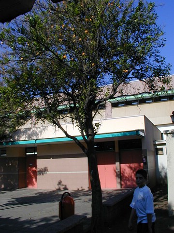 3X160329.JPG