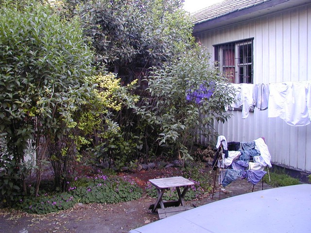 3X160332.JPG