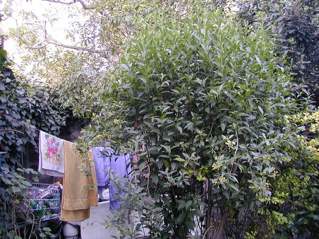 3X160334.JPG