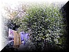 3X160334.JPG