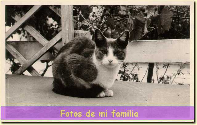 Minina.jpg