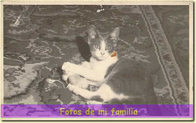 Minina01.jpg